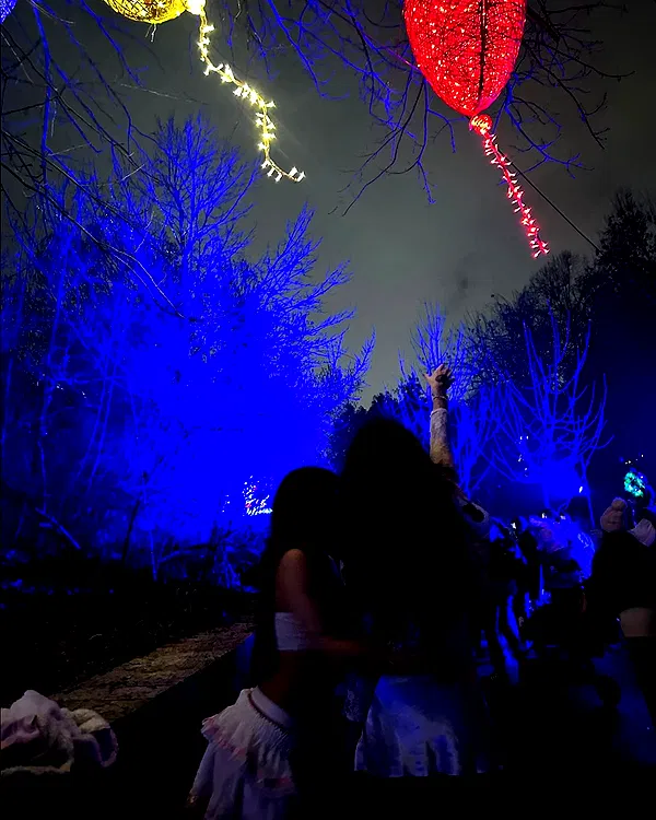 shayli_or shayli_or archive image