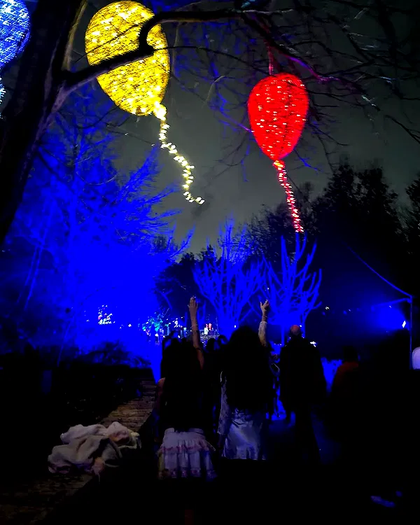 shayli_or shayli_or archive image