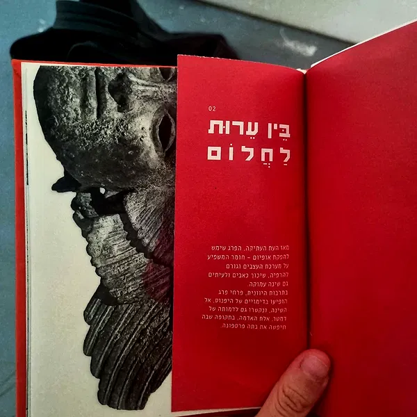 shayli_or shayli_or archive image