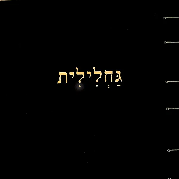 shayli_or shayli_or archive image