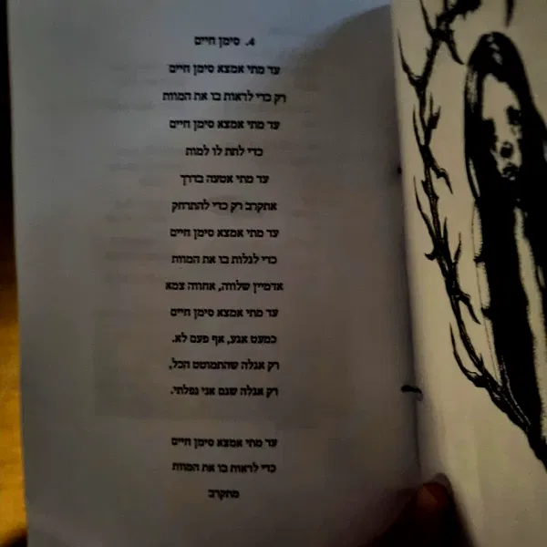 shayli_or shayli_or archive image