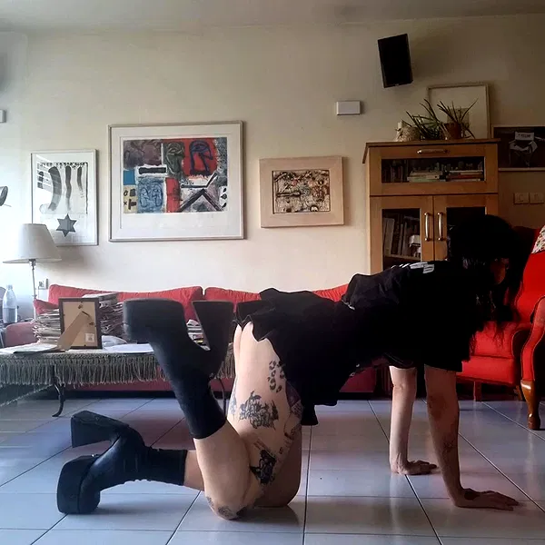 shayli_or shayli_or archive image