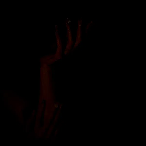 shayli_or shayli_or archive image