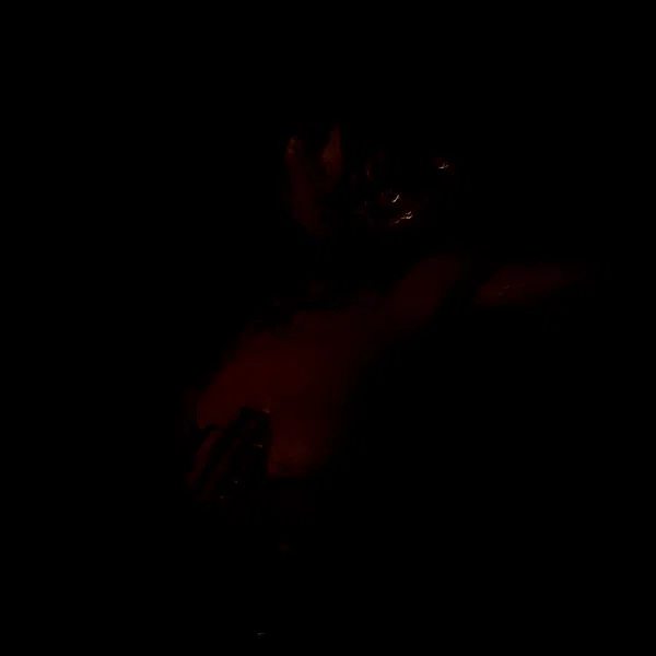 shayli_or shayli_or archive image