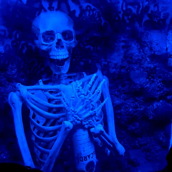 shayli_or shayli_or archive image