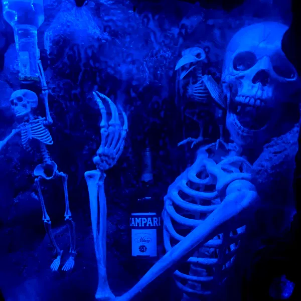 shayli_or shayli_or archive image