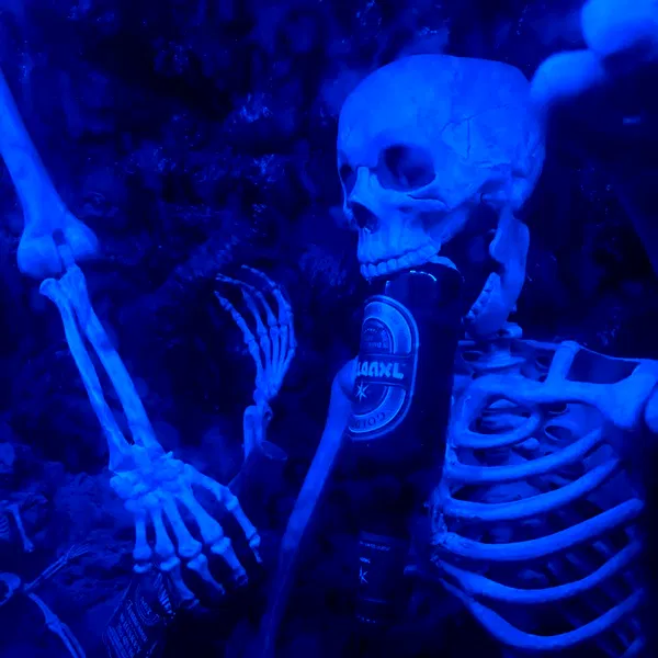 shayli_or shayli_or archive image