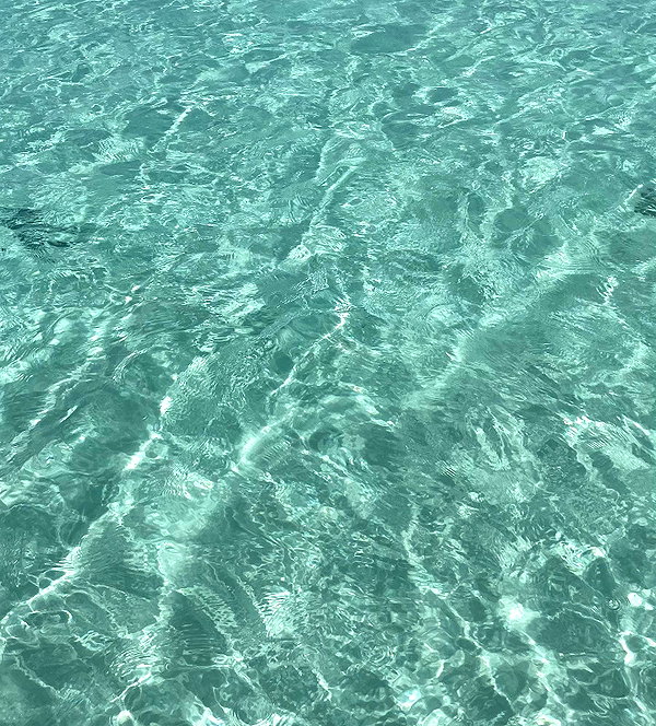 shayoded instagram image archive image