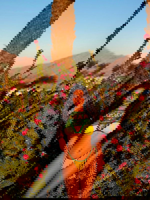 shelly_.mor image ~ Altpins