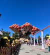 shelly_roberin Altpins Profile Picture