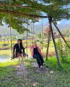 shelly_roberin Altpins Profile Picture