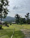 shelly_roberin Altpins Profile Picture