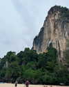 shelly_roberin Altpins Profile Picture