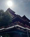 shelly_roberin Altpins Profile Picture