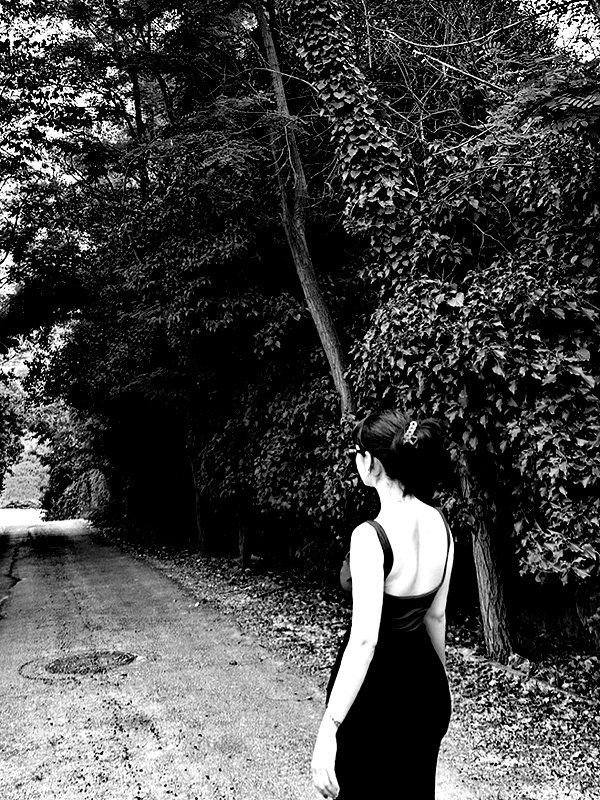 shhmery shhmery archive image