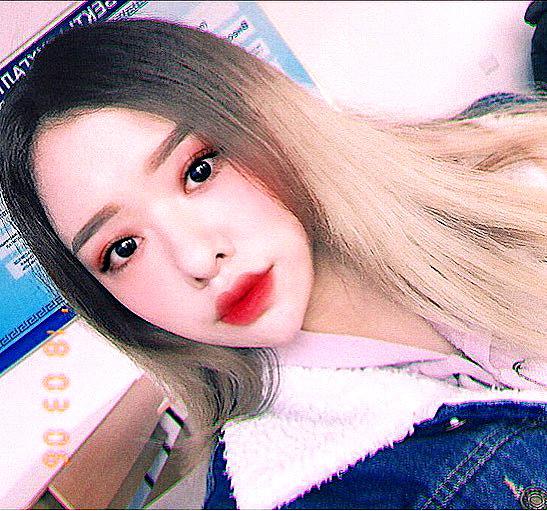 shim.anel instagram image archive image