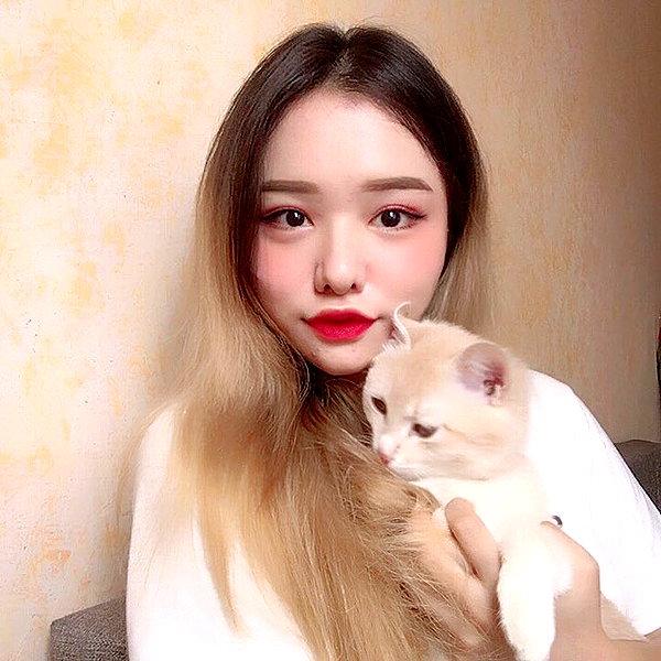 shim.anel instagram image archive image