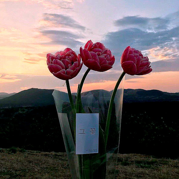 shim.anel instagram image archive image