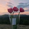 shim.anel Altpins Profile Picture