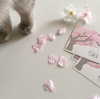 shim.anel Altpins Profile Picture