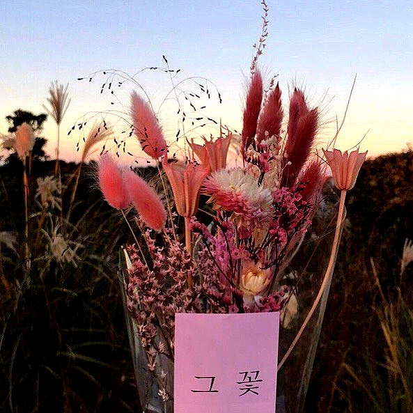 shim.anel instagram image archive image