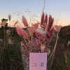shim.anel Altpins Profile Picture