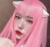 shim.anel Altpins Profile Picture