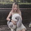 shim.anel Altpins Profile Picture