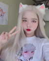 shim.anel Altpins Profile Picture