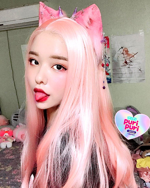 shim.anel instagram image archive image