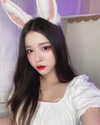 shim.anel Altpins Profile Picture