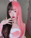 shim.anel Altpins Profile Picture