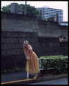 shiolikutsuna Altpins Profile Picture