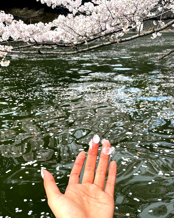 shiolikutsuna instagram image archive image