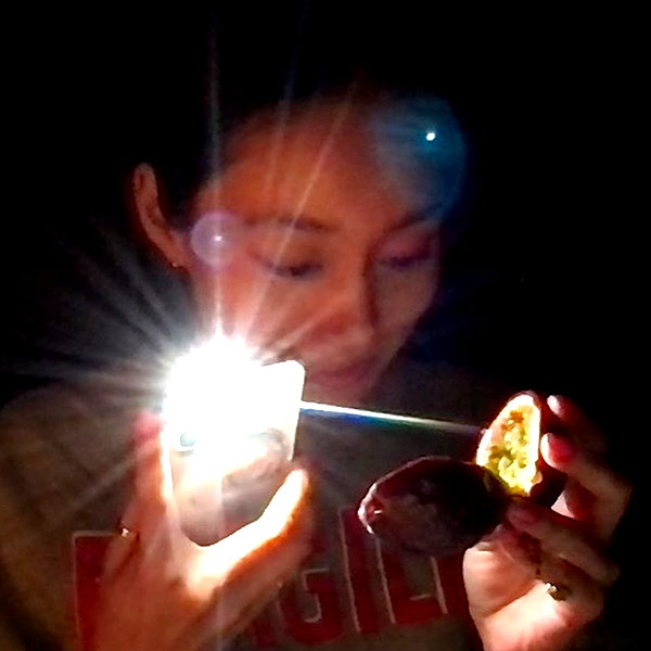 shiolikutsuna instagram image archive image