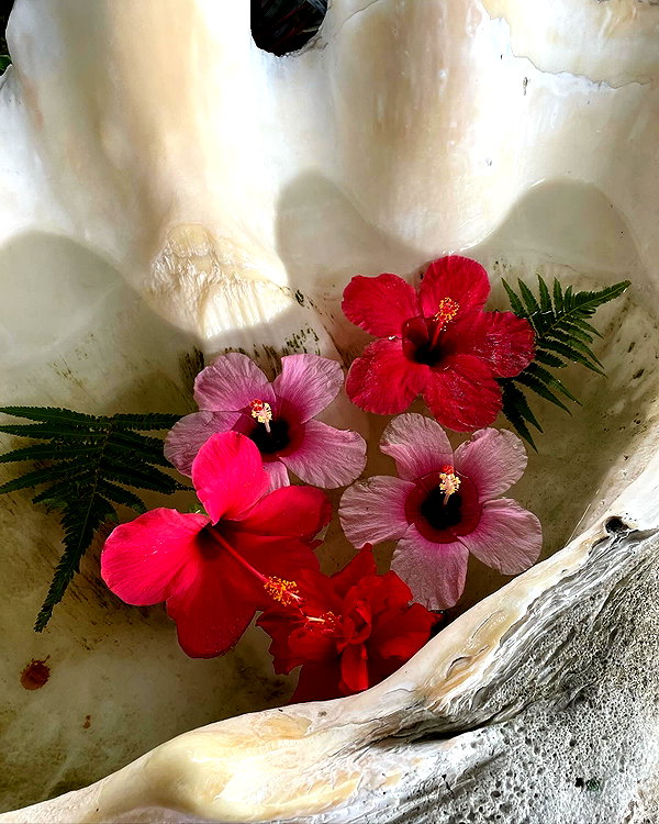 shiolikutsuna instagram image archive image