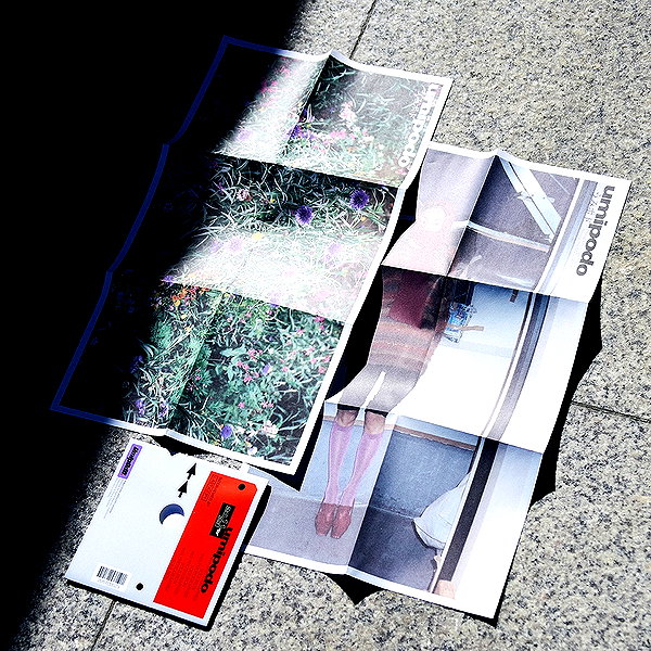 shiolikutsuna instagram image archive image