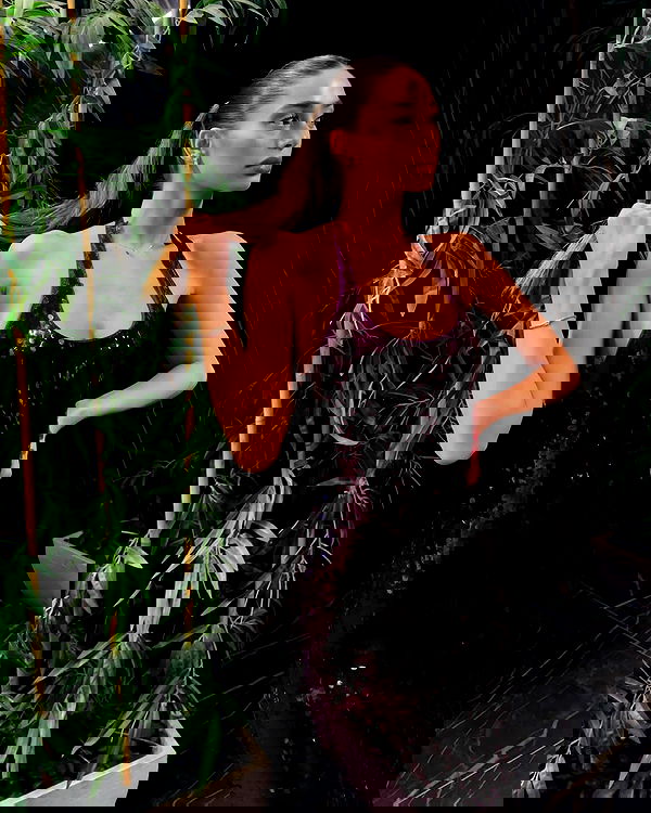 shir.davida6 shir.davida6 archive image