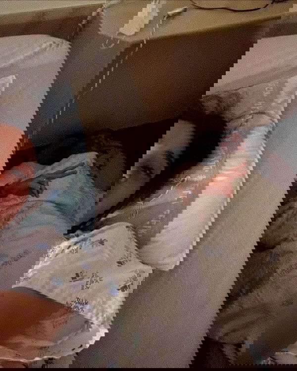 shir.davida6 shir.davida6 archive image