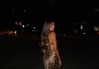 shira.sharabi Altpins Profile Picture