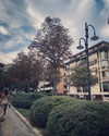 shira_asaf Altpins Profile Picture