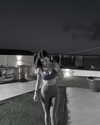 shira_asaf Altpins Profile Picture