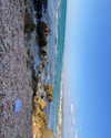 shira_asaf Altpins Profile Picture