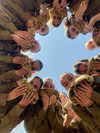 shira_asaf Altpins Profile Picture