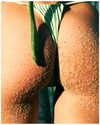 shira_or_adar_ Altpins Profile Picture