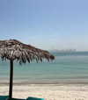 shira_or_adar_ Altpins Profile Picture