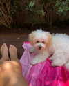shira_or_adar_ Altpins Profile Picture