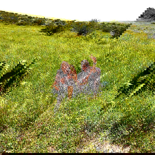 shirakor_ shirakor_ archive image