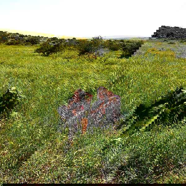 shirakor_ shirakor_ archive image