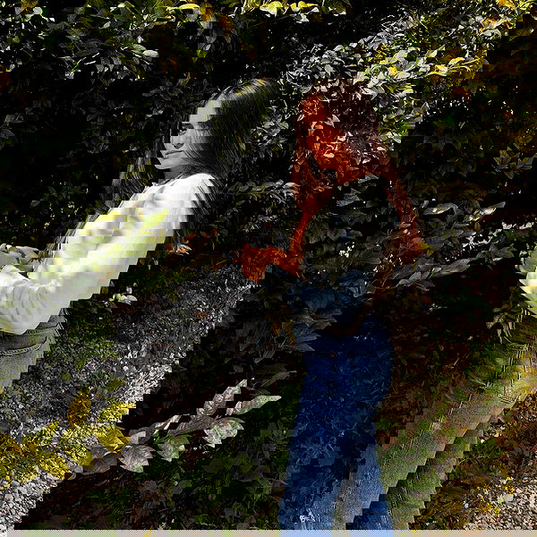 shirakor_ shirakor_ archive image